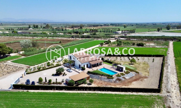 Resale - Detached House/Villa - Dolores - Comunidad valenciana