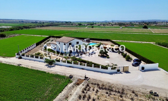 Resale - Detached House/Villa - Dolores - Comunidad valenciana