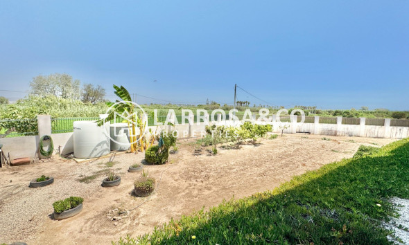 Resale - Detached House/Villa - Dolores - Comunidad valenciana