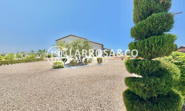 Resale - Detached House/Villa - Dolores - Comunidad valenciana