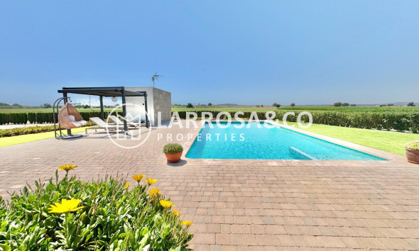Resale - Detached House/Villa - Dolores - Comunidad valenciana