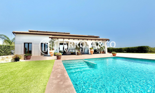 Resale - Detached House/Villa - Dolores - Comunidad valenciana