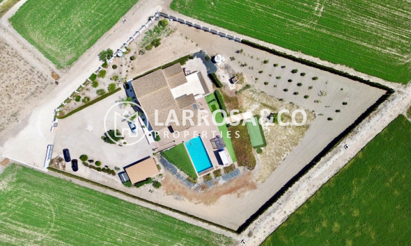 Resale - Detached House/Villa - Dolores - Comunidad valenciana