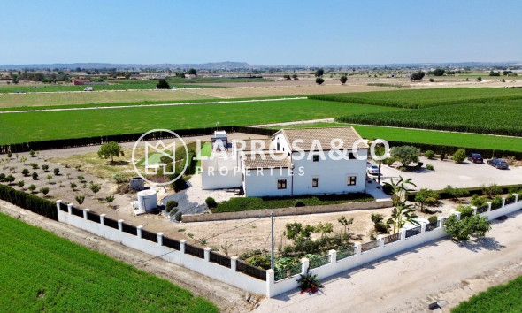 Resale - Detached House/Villa - Dolores - Comunidad valenciana