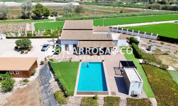 Resale - Detached House/Villa - Dolores - Comunidad valenciana