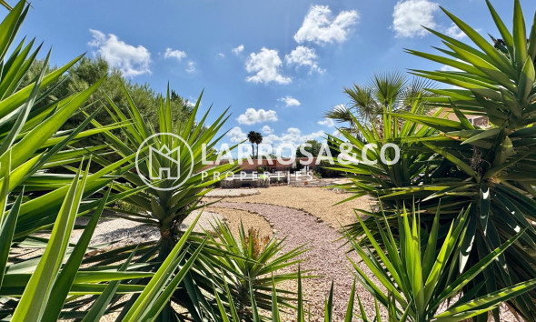 Resale - Detached House/Villa - Dolores - CMNO. ESCORREDOR