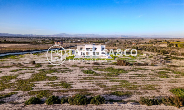 Resale - Detached House/Villa - La Marina