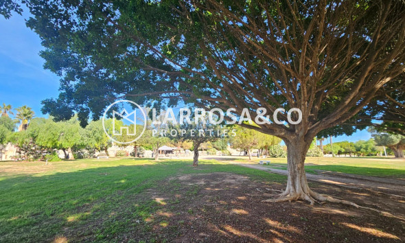 Herverkoop - Bungalow - Torrevieja - Torreblanca