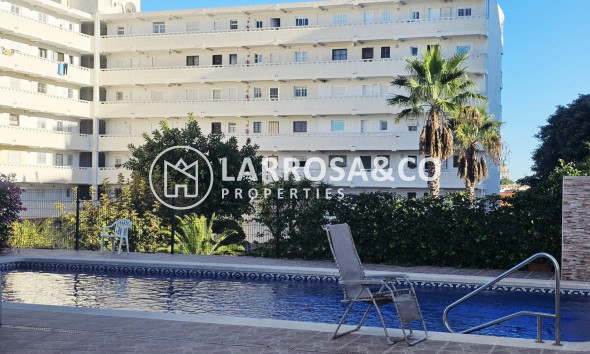 Reventa - Apartamento - Torrevieja - Torreblanca