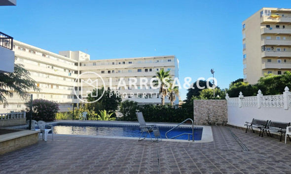 Reventa - Apartamento - Torrevieja - Torreblanca