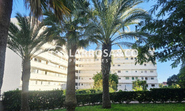 Reventa - Apartamento - Torrevieja - Torreblanca