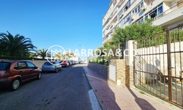 Reventa - Apartamento - Torrevieja - Torreblanca