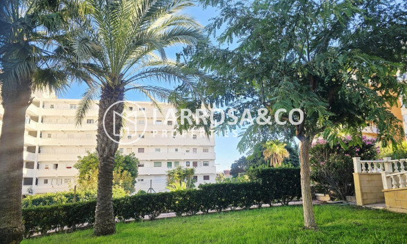 Reventa - Apartamento - Torrevieja - Torreblanca