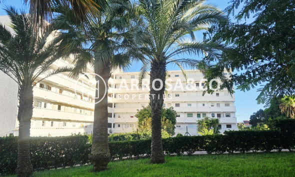 Reventa - Apartamento - Torrevieja - Torreblanca