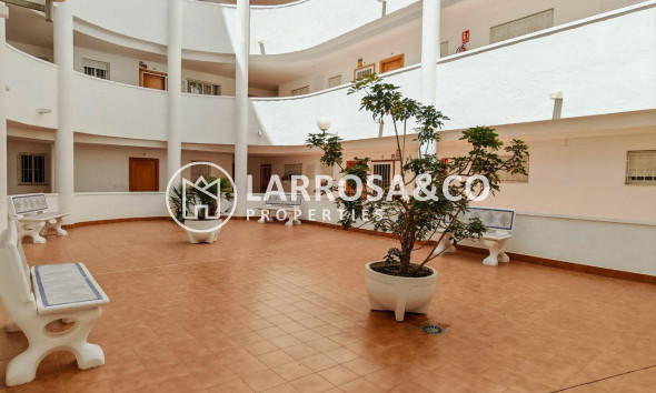 Вторичный рынок - Квартира - Торревьеха - Parque de las Naciones