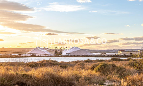 Вторичный рынок - Квартира - Торревьеха - Parque de las Naciones