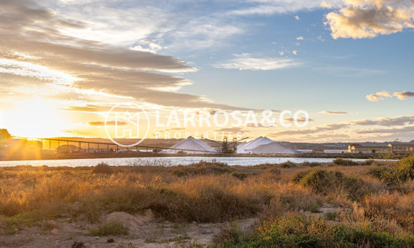 Вторичный рынок - Квартира - Торревьеха - Parque de las Naciones