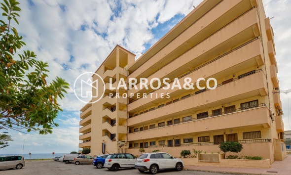 Вторичный рынок - Квартира - Торревьеха - Cabo cervera