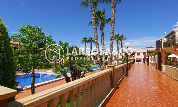 Herverkoop - Bungalow - Torrevieja - Aguas Nuevas