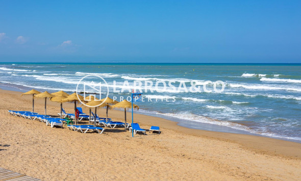 Herverkoop - Bungalow - Torrevieja - Aguas Nuevas