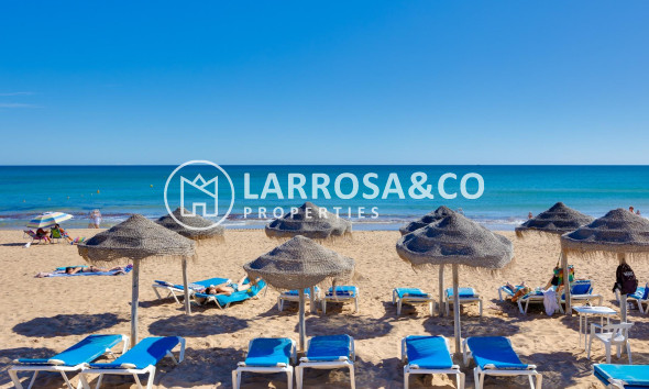 Herverkoop - Bungalow - Torrevieja - Aguas Nuevas