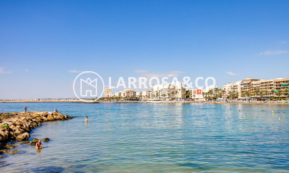 A Vendre - Apartment - Torrevieja - Playa del cura