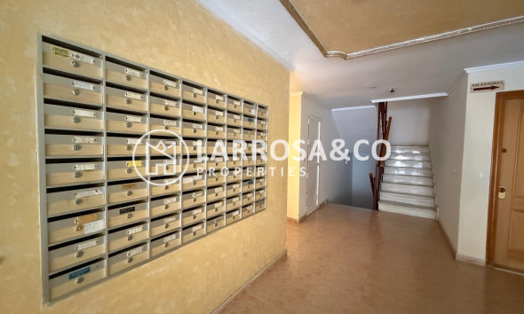 A Vendre - Apartment - Torrevieja - Habaneras