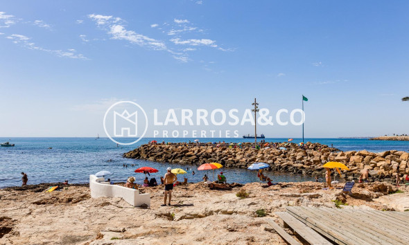 Resale - Ground floor apartment - Torrevieja - Acequion