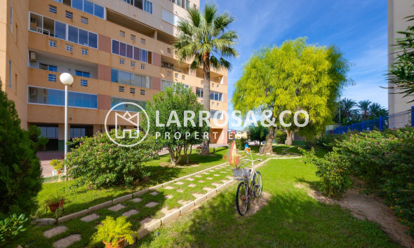 A Vendre - Apartment - Torrevieja - La veleta