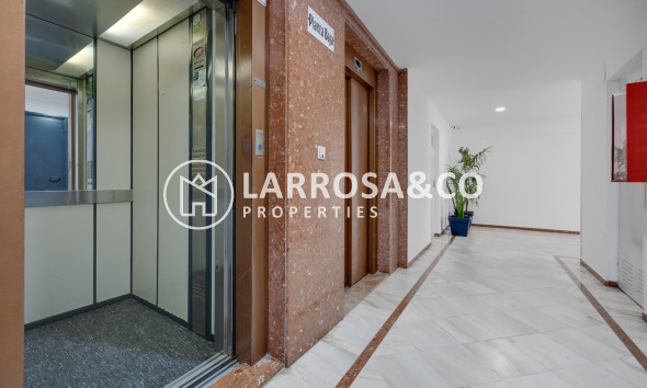 A Vendre - Apartment - Torrevieja - La veleta