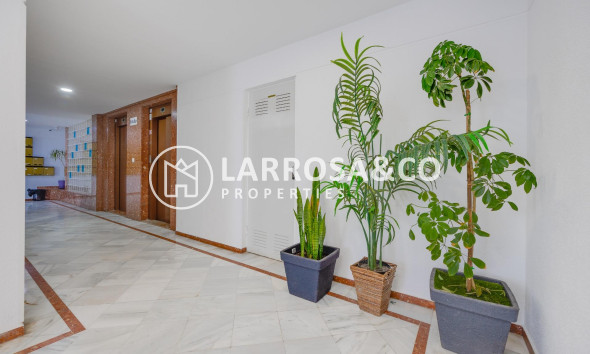 A Vendre - Apartment - Torrevieja - La veleta