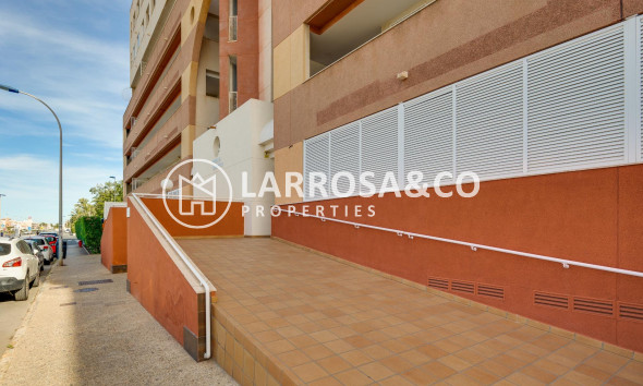 A Vendre - Apartment - Torrevieja - La veleta