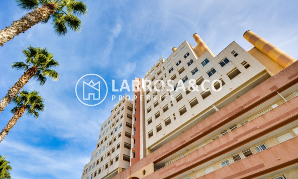 A Vendre - Apartment - Torrevieja - La veleta
