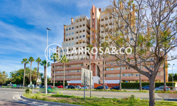 A Vendre - Apartment - Torrevieja - La veleta