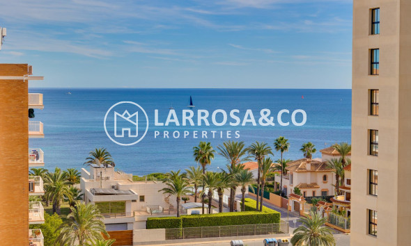 A Vendre - Apartment - Torrevieja - La veleta