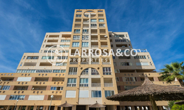 A Vendre - Apartment - Torrevieja - La veleta