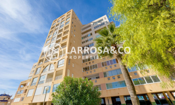 A Vendre - Apartment - Torrevieja - La veleta