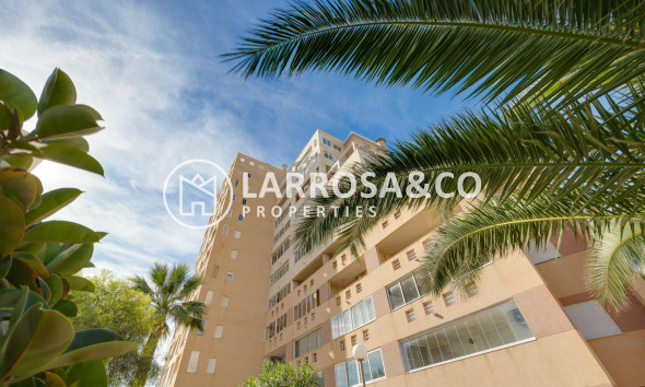 A Vendre - Apartment - Torrevieja - La veleta