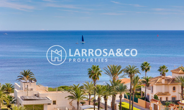 A Vendre - Apartment - Torrevieja - La veleta