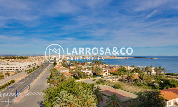 A Vendre - Apartment - Torrevieja - La veleta