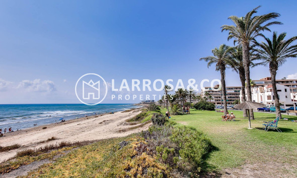 A Vendre - Apartment - Torrevieja - La veleta