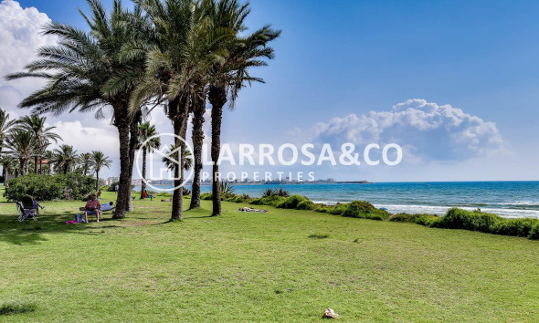 A Vendre - Apartment - Torrevieja - La veleta