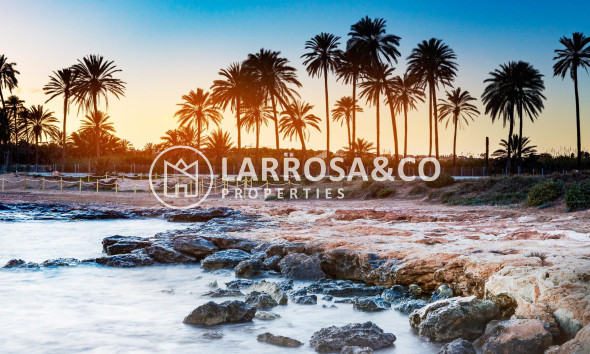 A Vendre - Apartment - Torrevieja - La veleta