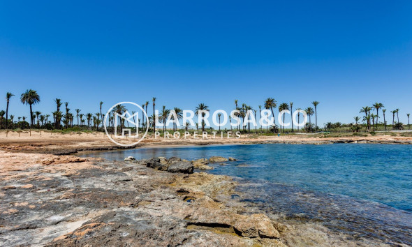 A Vendre - Apartment - Torrevieja - La veleta