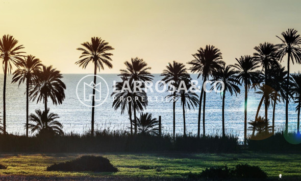 A Vendre - Apartment - Torrevieja - La veleta