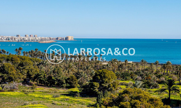 A Vendre - Apartment - Torrevieja - La veleta