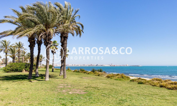 A Vendre - Apartment - Torrevieja - La veleta