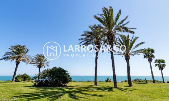 A Vendre - Apartment - Torrevieja - La veleta