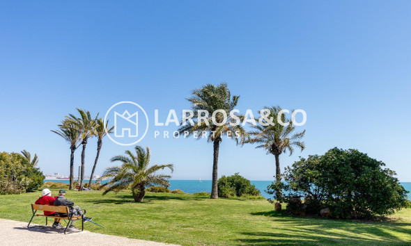 A Vendre - Apartment - Torrevieja - La veleta