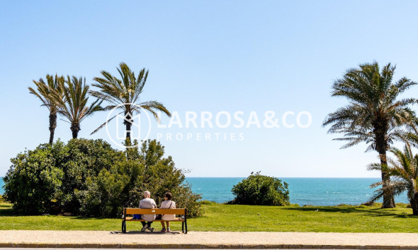 A Vendre - Apartment - Torrevieja - La veleta